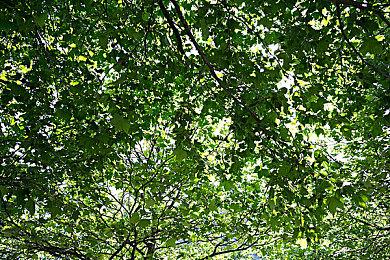 诺兰：传记电影《奥本海默》没有一帧CGI