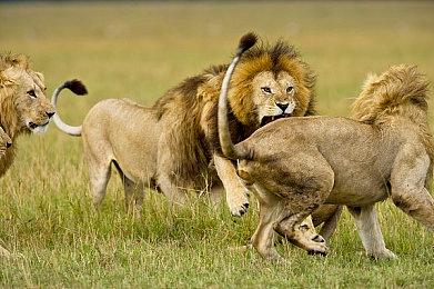 《魂斗罗4》开发商射击新作《蛛龙》确定7月发售