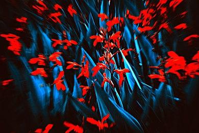 Xbox发布会：《方舟2》2023年发售 首发登陆XGP